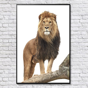 Póster Enmarcado <span class=keywords><strong>de</strong></span> León Africano, Impreso con Tinta Ecológica, Impermeable, Decoración <span class=keywords><strong>de</strong></span> Pared Moderna y Sencilla - Product Image 4