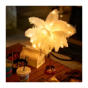 Modern Romantic Desk Lamp with USB Rechargeable Built Standing Feather Table Ostrich Feather Lamp Night Light