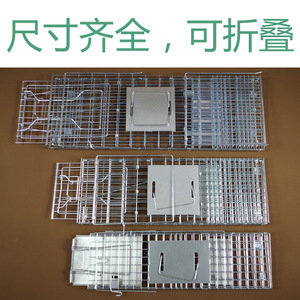 Piège à animaux vivants pour ratons laveurs, chats, bobchats, bibelots, petits chiens, coqs, opossommes - Product Image 4