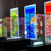 Pantalla OLED Transparente de 30/55/75 Pulgadas con Pantalla Táctil, Bajo Consumo de Energía, Diseño sin Marco