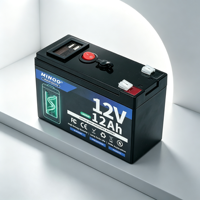 Batterie solaire rechargeable LiFePO4 12V avec BMS intégré, cycle profond, 153,6 Wh, 6000 cycles, camping