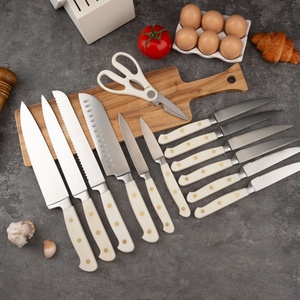 14 Pieces Kitchen <b>Knives</b> <b>Set</b> with Anti-Rust Coating & Built-in Sharpener Stainless Steel Kitchen <b>Knife</b> for Cutting - Product Image 3