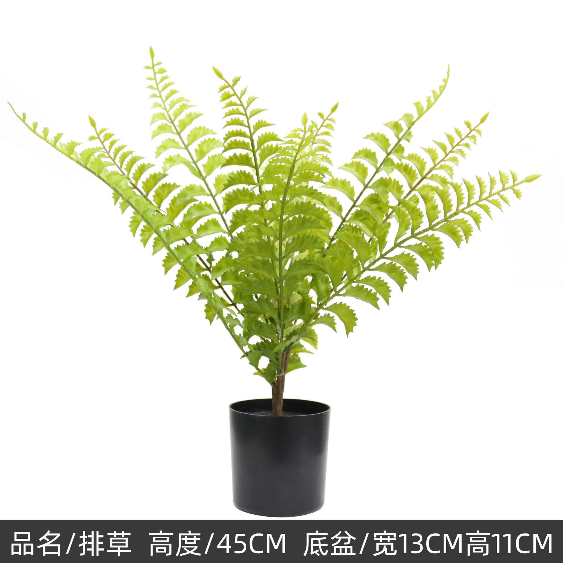 Herbe de rangée de 45 cm - 12 feuilles