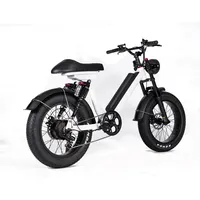 2022 yetişkin elektrikli bisiklet yağ lastik tam süspansiyon 500W 48V fırçasız Motor elektrikli yağ lastik bisiklet 20 inç dağ bisikleti E B