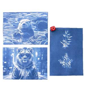 Kit de Cianotipía A6, el Más Vendido, con Textura de Cianotipía y Herramientas Completas para Diseño Artístico DIY y Amantes de las Fotos Vintage, Pintura Creativa - Product Image 6