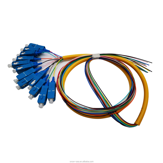 12 Core SC FC ST LC Fiber Optic Pigtail