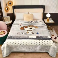 Amity Factory verdickte Decke gedruckt Winter Doppels chicht warme Decke Home Raschel Cover Decke