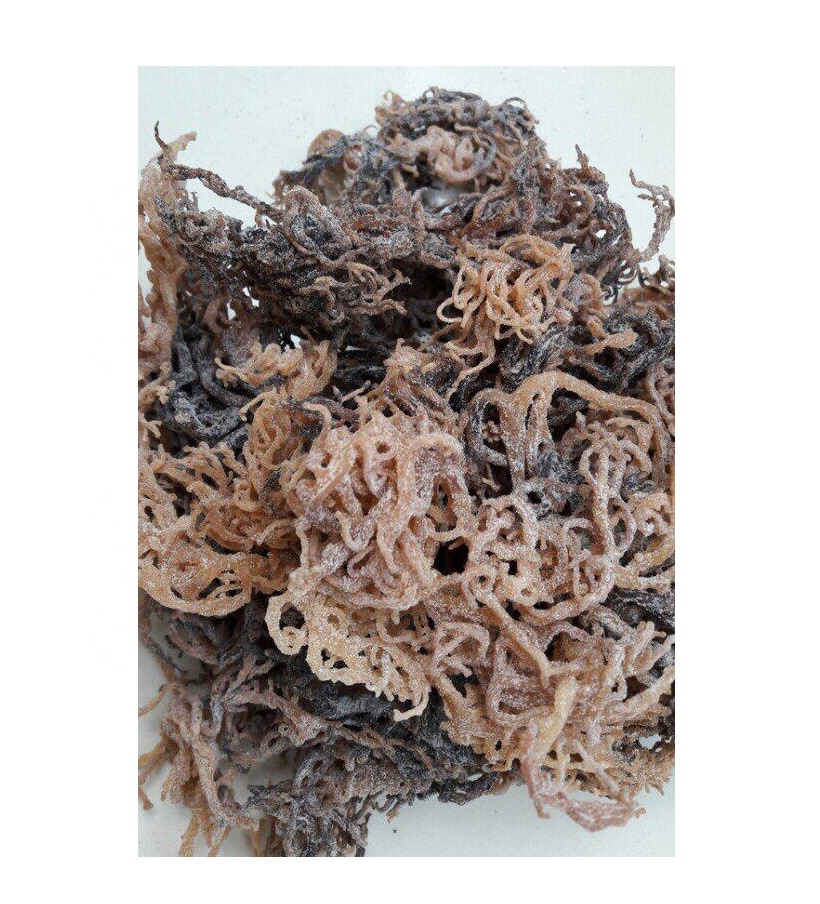 Сушеные водоросли Gracilaria-Eucheuma Cottoni - Seamoss Vietnnam