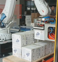 Robot empilable de palletisation adapté aux besoins du client sélectionnent et placent des boîtes de cartons automatiquement