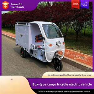 Versatile Lightweight Electric Trike Easy Operate 100-300kg Load Trike - Product Image 1