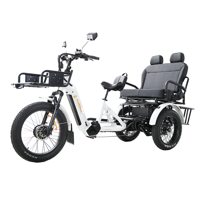 48V 132ah Lithium Battery 24 Inch Electric Tricycle with Pedal Assist Front Load Cargo and Folding for Urban Commute