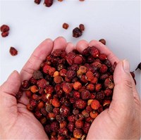 Rijk Aan Vitamine C Gedroogde Rozenbottel Thee Rose Hip Rosa Canina Fruit