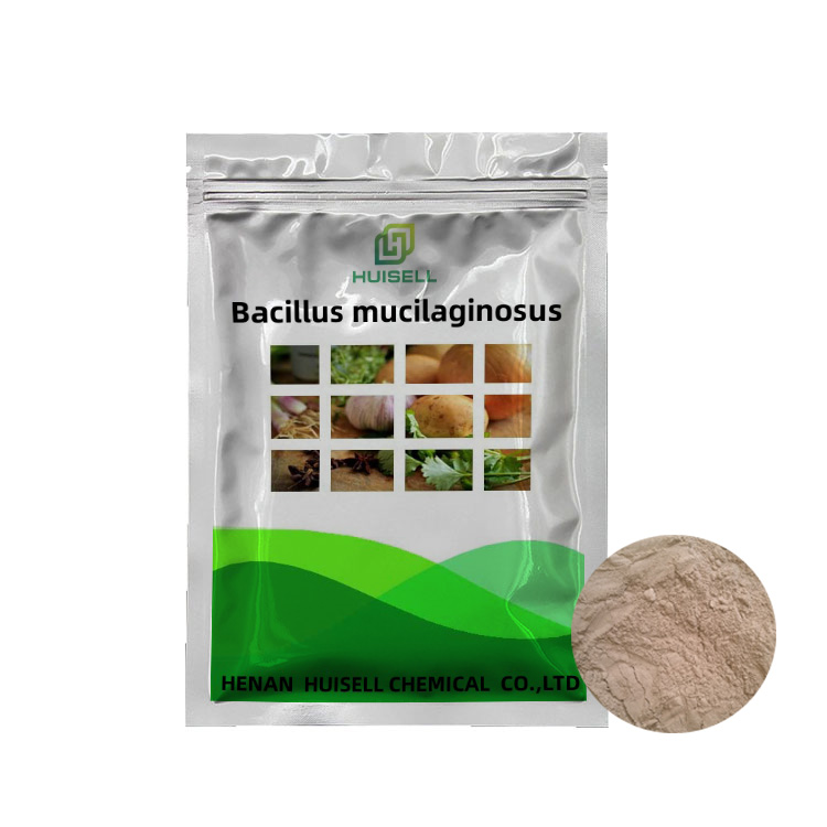 Заводская поставка, бактерии из силиката калия bacillus mucilaginosus