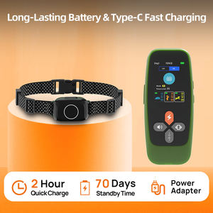 <span class=keywords><strong>Collar</strong></span> de descarga eléctrica recargable a prueba de agua para perros grandes y pequeños, dispositivo de entrenamiento de perros con Control remoto, anillo antiladridos de plástico - Product Image 2