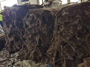 Fourrure animale Nutria, couleur unie, peau de mouton australienne, prix d'usine Chine, doublures en fourrure de mouton pour chaussures de sécurité - Product Image 4