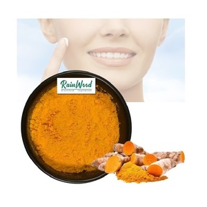 Rainwood Kurkuma Wortel Extract 95% Voedingsmiddelkwaliteit <span class=keywords><strong>Supplement</strong></span> Hoge Kwaliteit Curcumine Kurkuma Poeder - Product Image 1