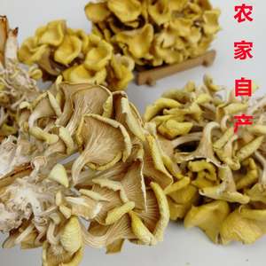 1 kg de <span class=keywords><strong>champignons</strong></span> d'huître dorés entiers crus séchés comestibles à vendre - Product Image 4