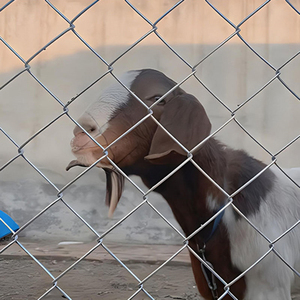 8ft Chuỗi liên kết hàng rào cho quốc phòng hộ gia đình loại màu đen Chuỗi liên kết hàng rào Net cho vườn lĩnh vực trang trại động vật - Product Image 2