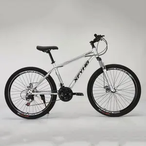 21Scarbon Fahrrad Mountainbike MTB/Fahrrad teile Mountainbike Verkauf 29er/chinesische Imports eiten Radfahren MTB Legierung Felge