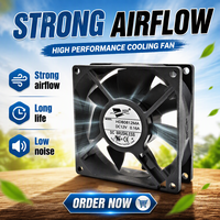 Ventilateur de refroidissement DC 8025 avec roulement à billes et pales en plastique 12V/24V, personnalisable OEM/ODM pour équipement onduleur solaire
