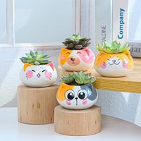 Vente chaude Mignon Animal Conception En Céramique Mini Bonsaï Pots De Fleurs Pas Cher Intérieur Succulent Pots Jardin Maison Ensemble De Bureau Décor À La Maison