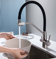 Design d'hôtels modernes Robinet de cuisine 3 en 1 OEM Noyau en laiton 360 Rotation Robinet en céramique à tirette Noir brossé 3 ans