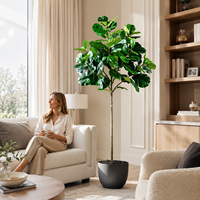 Fabricant en gros d'arbres artificiels de type Ficus lyrata, en plastique, écologiques, durables, pour la décoration intérieure des hôtels et restaurants