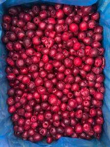 Оптовая продажа, новый урожай, завод, прямой экспорт, красная замороженная Вишня - Product Image 5