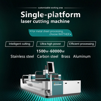 Rayther Laser 1.5KW/3KW/6KW 3015 Découpeur laser à fibre Découpeuse laser de tôle de fer Machine de découpe laser CNC pour métal acier
