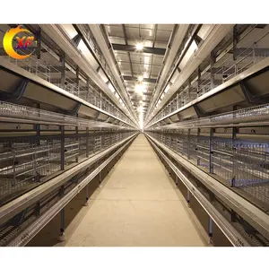 Hot Sale 10000 Layer Poultry Digital Chickens Farm Bird Cage Chicken Cage for Layer For Sale Good Price