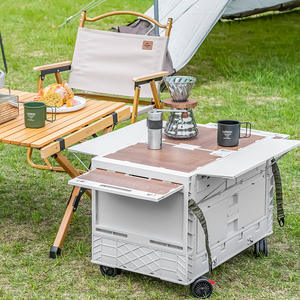 Outdoor <b>Camping</b> Retractable Magnetic Table Folding Plastic Trolley With Four Wheels Portable Shopping <b>Cart</b> - Product Image 1
