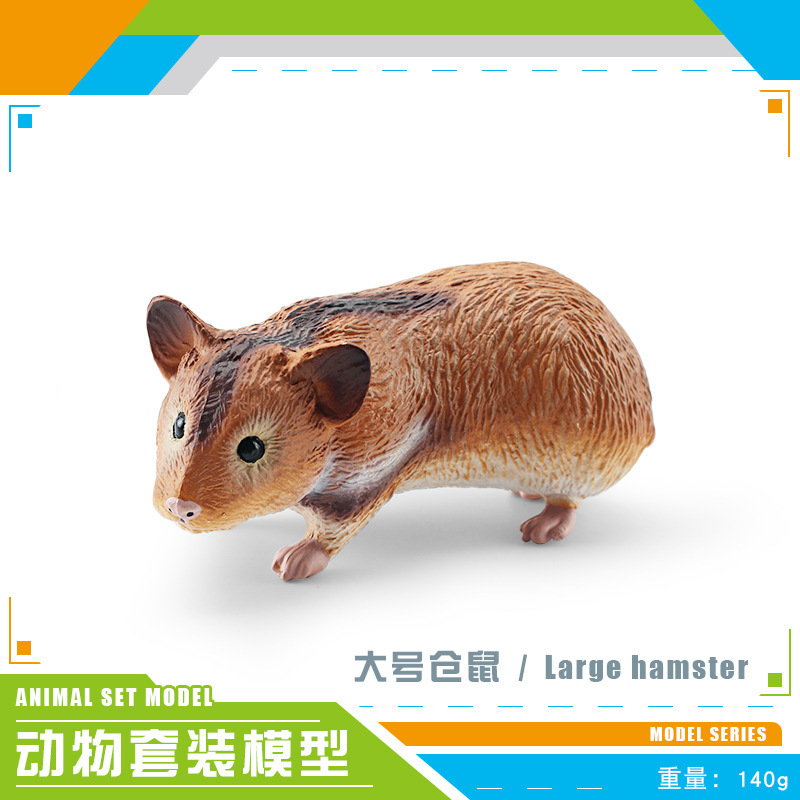coloré PL127-1186 Grand Hamster 140g