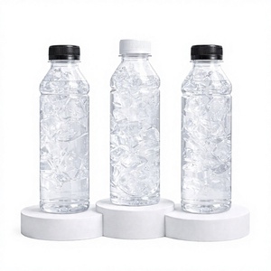 Botellas de PET Desechables para Bebidas con Tapas de Rosca Serigrafiadas de 330 ml para Refrescos, Café, Smoothies y Bebidas - Product Image 1
