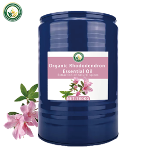Aceite Esencial de <span class=keywords><strong>Rododendro</strong></span> Orgánico de Venta Caliente, Aroma Fuertemente Estimulante para Difusores de Aromaterapia, Mezclas para Baños, Hecho a Mano - Product Image 5