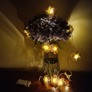 ไฟ Led ประดับวันหยุดอื่นๆ,ไฟ LED สำหรับตกแต่งงานแต่งงานไฟสาย Led 10ดวงสำหรับห้องนอนตกแต่งเทศกาลคริสต์มาส - Product Image 6