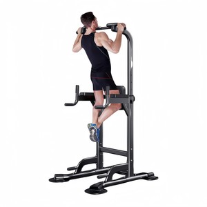CZFIT Transcript Certificate Professional Cardio Gym Fitness <b>Pull</b> <b>Ups</b> and Dips Station <b>Pull</b> <b>up</b> and Dip Assist Station - Product Image 1