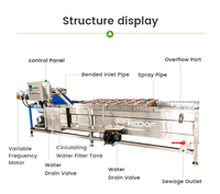 Automatische Fruit Aardbei Luchtbel Wassen Waxen Droogmachine Fruit Wassen Sorteren Waxen Productielijn