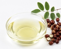Huile d'Acer Truncatum Bugae, extrait végétal liquide de qualité cosmétique, séché par pulvérisation, provenant du Jiangsu