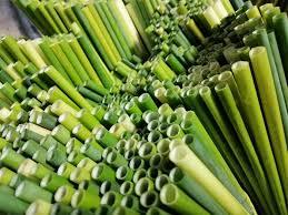 100% NATURAL <b>GRASS</b> DRINKING STRAWS in VIETNAM / SOPHIA - Product Image 4