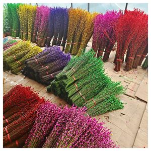 2024 Yunnan venta al por mayor decoración del hogar adornos navideños Rama <span class=keywords><strong>de</strong></span> sauce <span class=keywords><strong>Salix</strong></span> Argyracea para decoraciones navideñas - Product Image 1