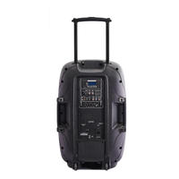 Enceinte portable 15 pouces à batterie, enceinte DJ professionnelle PA avec micros VHF pour événements mobiles en extérieur (vente en gros)