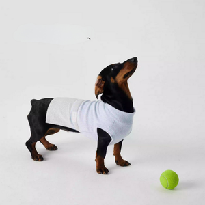 Qiqu fournisseur personnalisé pull pour chien de luxe élégant et confortable <span class=keywords><strong>teckel</strong></span> <span class=keywords><strong>bicolore</strong></span> chemise d'hiver pour animaux de compagnie avec motif rayé mignon - Product Image 4