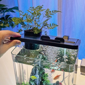 Aquarium écologique de bureau en plastique transparent épaissi pour micro-paysage, avec couvercle, pour poissons Betta et tortues de salon - Product Image 4