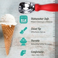 Cuchara para Helado de Aleación de Zinc con Logotipo Personalizado al por Mayor, Resistente, Apta para Lavavajillas, para los Amantes del Helado que No Pueden Esperar
