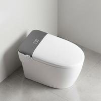 Inodoro Inteligente de Una Pieza de Estilo Moderno, Sanitario de Cerámica, Inodoro WC de Suelo con Autolimpieza