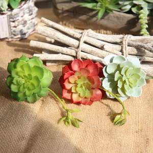 Suculenta Artificial de Interior <span class=keywords><strong>Echeveria</strong></span> Lenore Dean, Planta Natural 2024 - Product Image 4