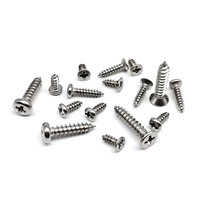 Kit de 100 micro-vis autotaraudeuses pour bois, pour voitures miniatures, produits électroniques, téléphones, M1.2 M1.4 M1.7 M2 M3 M4, en acier inoxydable 304