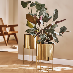 Jardinera de metal de diseño premium más vendida con soporte de base fuerte utilizada ampliamente en hogares, restaurantes, cafeterías y resorts en todo el mundo - Product Image 1