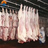 Mesin Pemotongan Sapi Otomatis Desain Khusus Halal, Lini Pemotongan Sapi Lengkap, Peralatan Pabrik Pengolahan Rumah Potong Hewan, Harga Pabrik