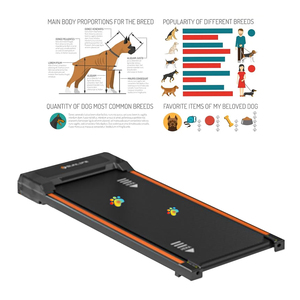 Pelacak tekanan Plantar, peralatan rehabilitasi Orthotics Treadmill hewan peliharaan untuk rumah sakit spesialis rehabilitasi hewan peliharaan - Product Image 2